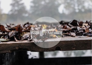 WinterAutumn