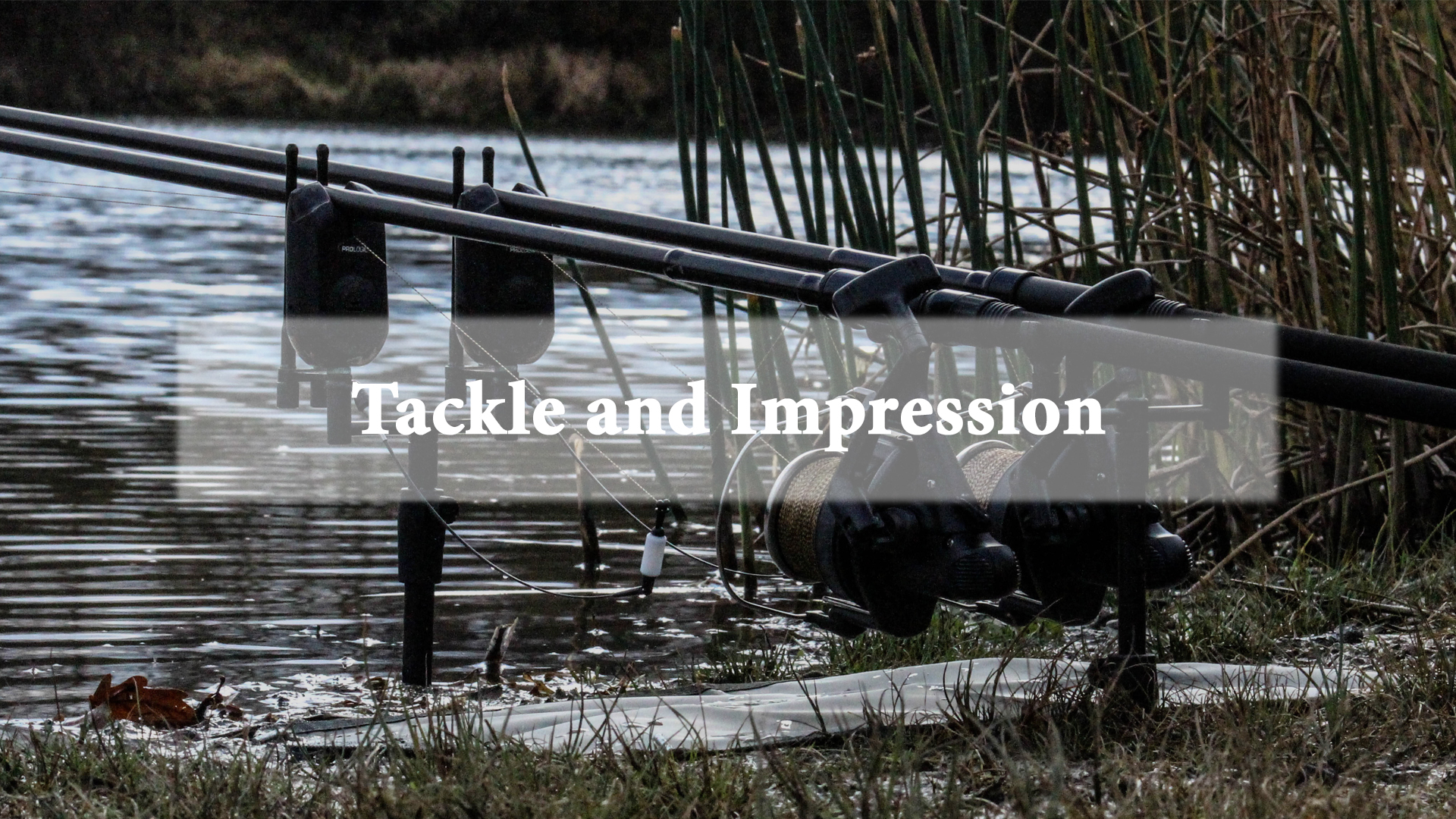 tackle and impression